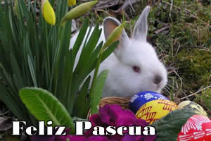 Im�genes conejo de Pascua