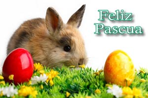Im�genes conejo de Pascua