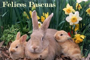 Im�genes Felices Pascuas conejos