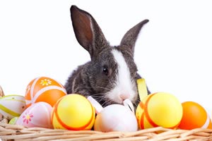 Conejos de Pascua