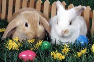 Im�genes de Pascua