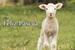 Im�genes de Pascua Cordero