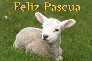 Im�genes de Pascua Cordero