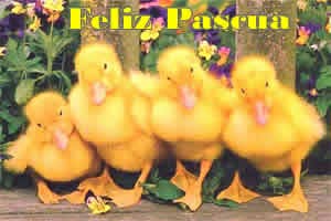 Pollitos de Pascua